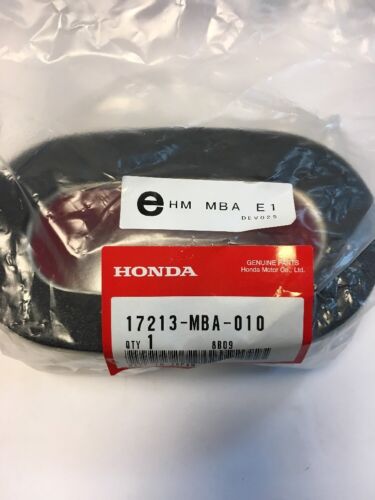 New Genuine Honda Air Filter Cleaner VT750 Shadow ACE Spirit (See Notes) #Y155