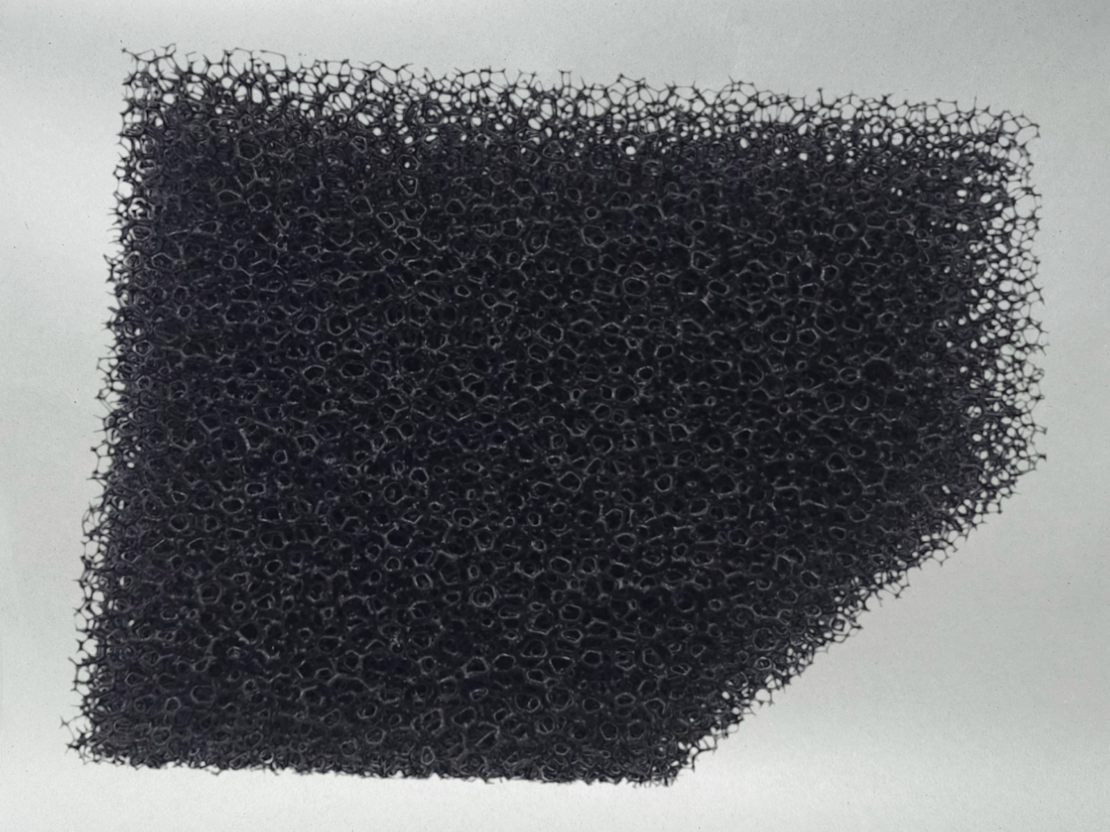 Suzuki Genuine OEM BREATHER FILTER 2003-08 SV650 SV650S SV650 ABS 13788-17G00