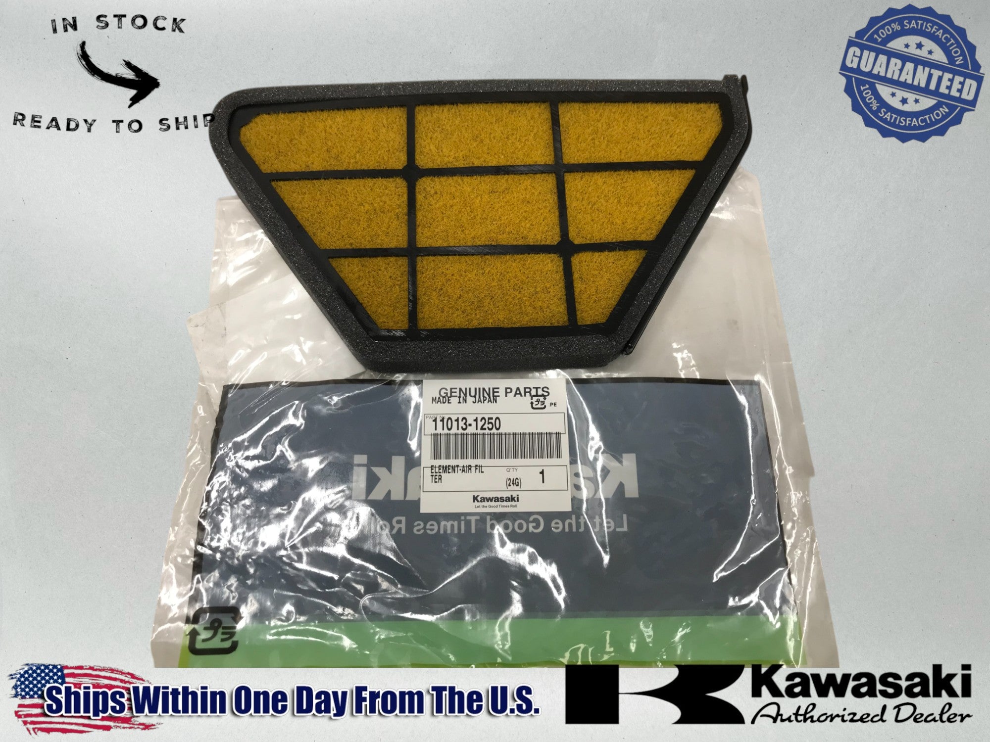 Genuine OEM Kawasaki Air Filter 11013-1250