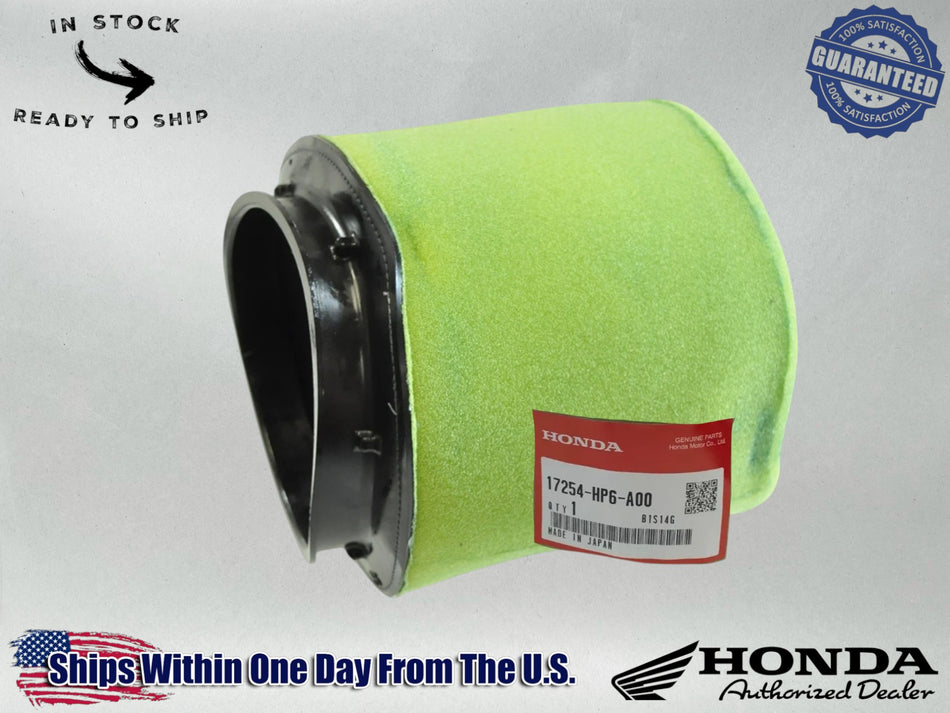 Honda Genuine OEM 17254-HP6-A00 Air Filter