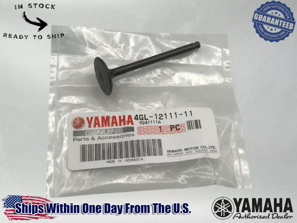 Yamaha Genuine OEM Authentic VALVE, INTAKE 4GL-12111-11-00
