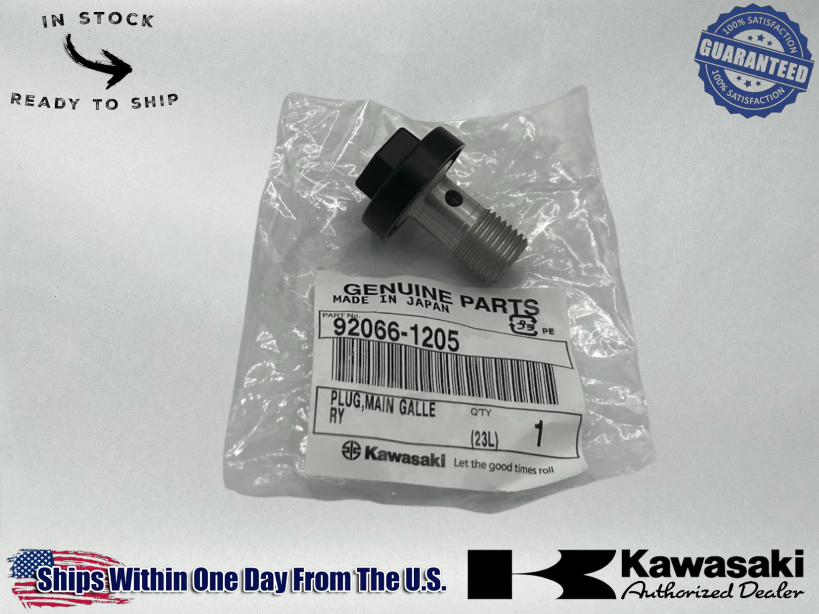 Kawasaki Genuine OEM Authentic Main Gallery Plug 92066-1205 1