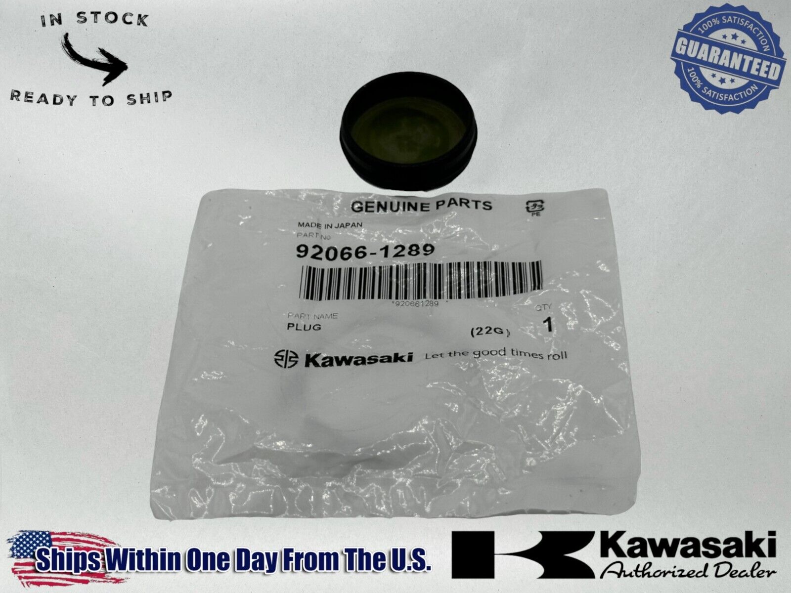 Kawasaki Genuine OEM Authentic Plug 92066-1289