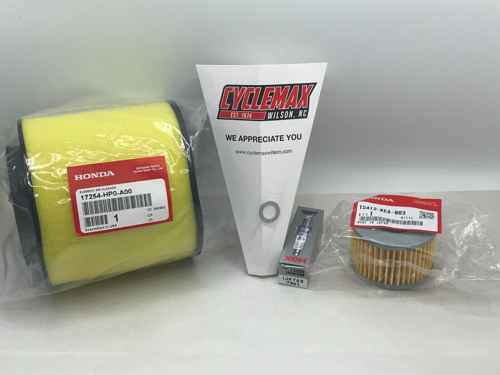 Honda Genuine OEM 2007-2013 TRX500FA Service Tune Up Kit