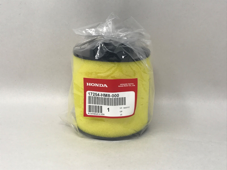 Honda Genuine OEM Element Air Filter NEW 17254-HM8-000