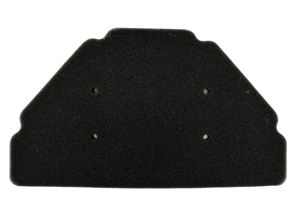 KAWASAKI ELEMENT-AIR FILTER 11013-1240 NEW OEM