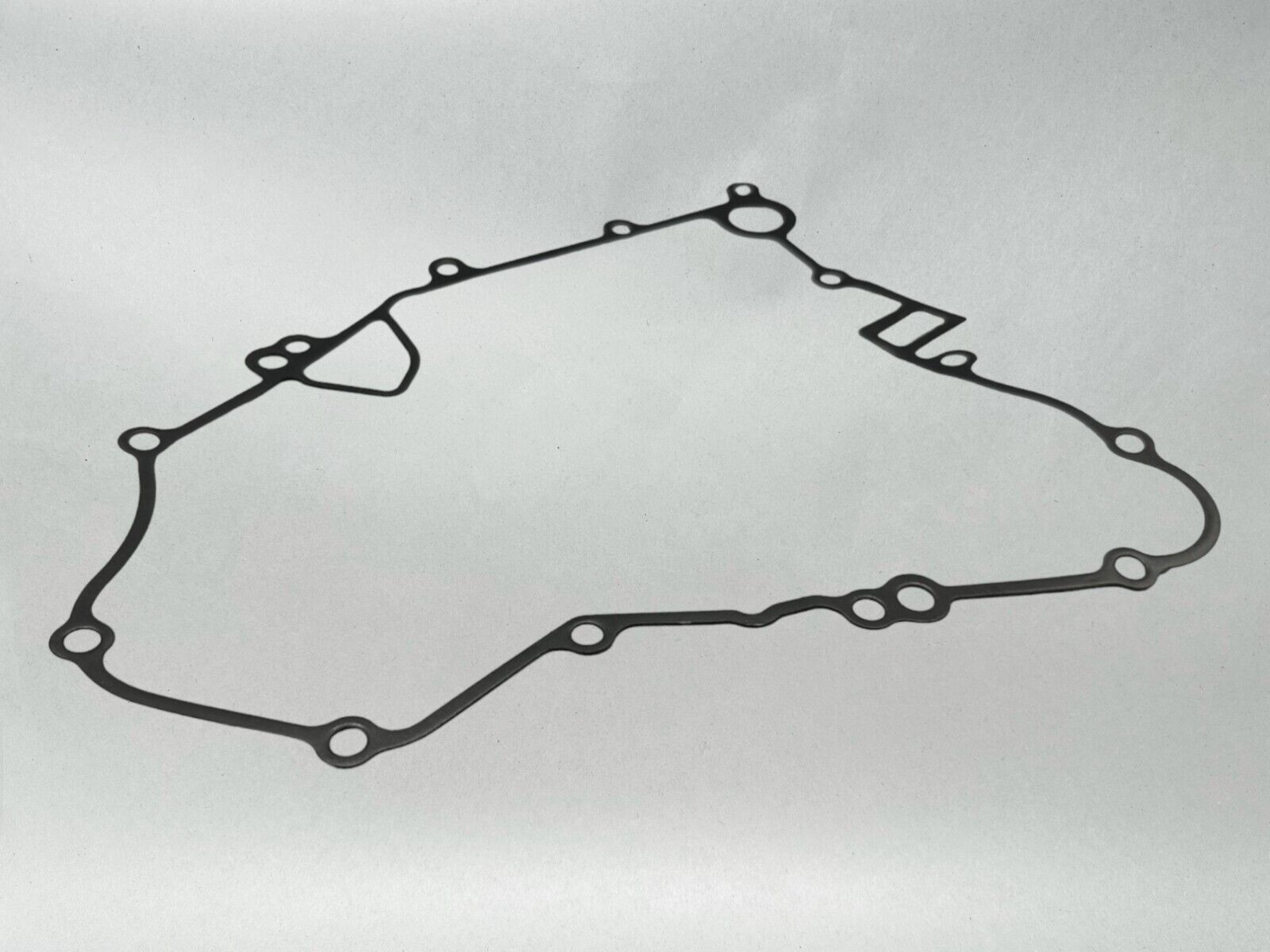 Kawasaki Genuine OEM Authentic Gasket 11061-1119