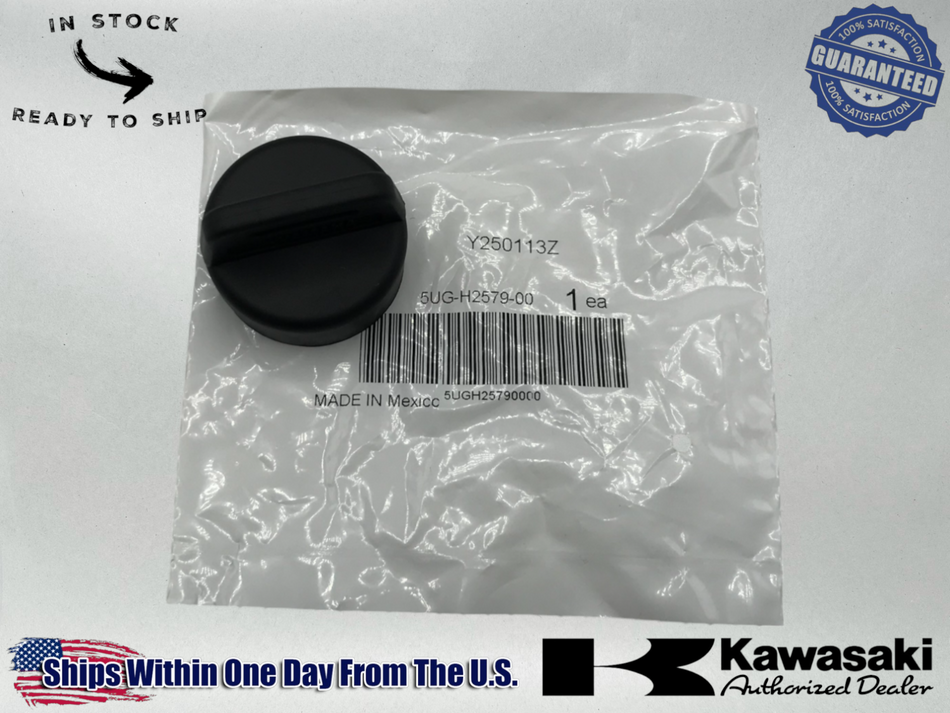 Yamaha OEM 2004-22 Viking 700 VI Rhino 450 600 700 Key Cap 5UG-H2579-00-00